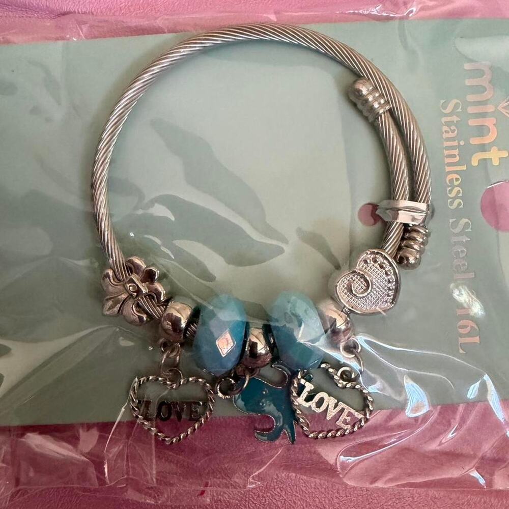 Stainless steel charm bracelet